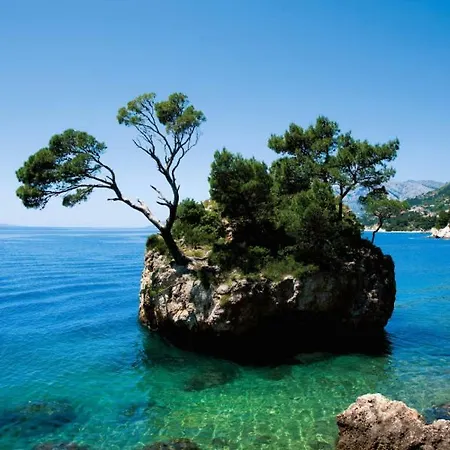 Appartamento Libertas